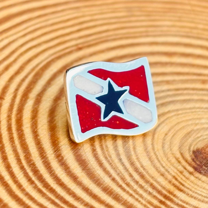 HB Design - Joias Artesanais da Amazônia - Pará Flag Pin
