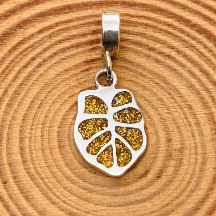 Monstera Charm