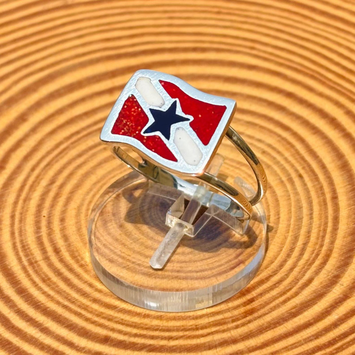 Anel Bandeira do Pará - Tamanho P