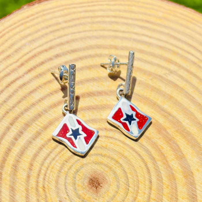 Pará Flag Long Earrings - Size