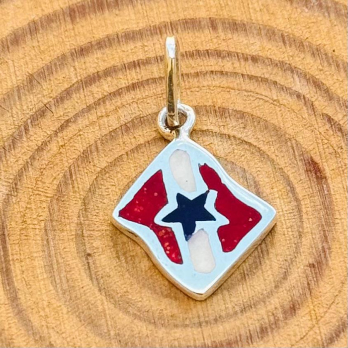 Pará Flag Pendant
